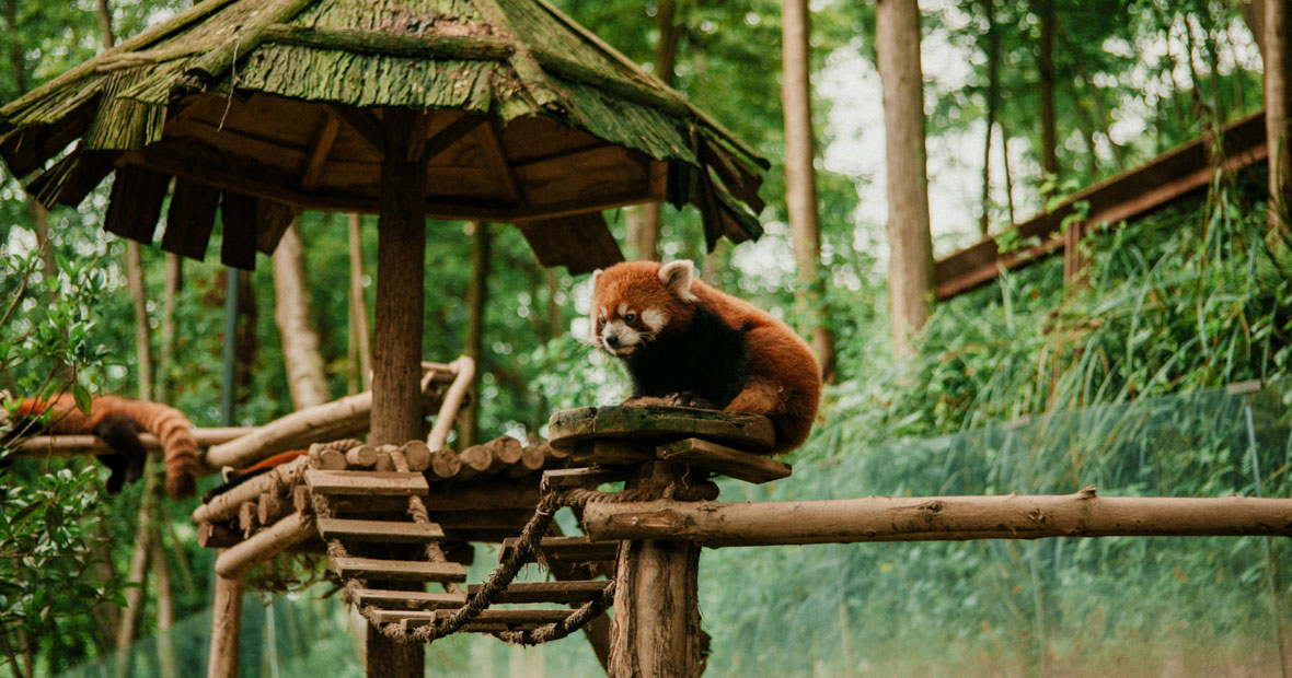parc animalier en France.png